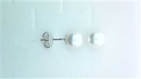 Pendientes Ticchi Maurizio Mujer AKOYA in Oro blanco Perla OB00009 - OB00009